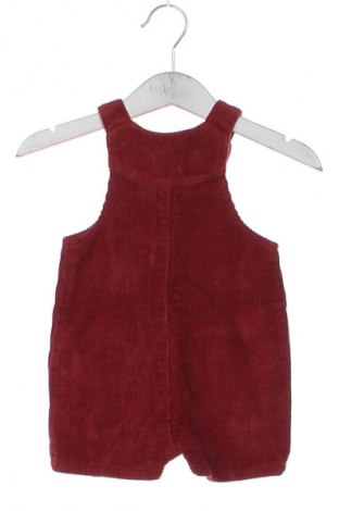 Salopetă pentru copii. Nutmeg, Mărime 2-3m/ 56-62 cm, Culoare Maro, Preț 84,21 Lei