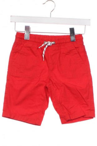Kinder Shorts Palomino, Größe 5-6y/ 116-122 cm, Farbe Rot, Preis 7,12 €