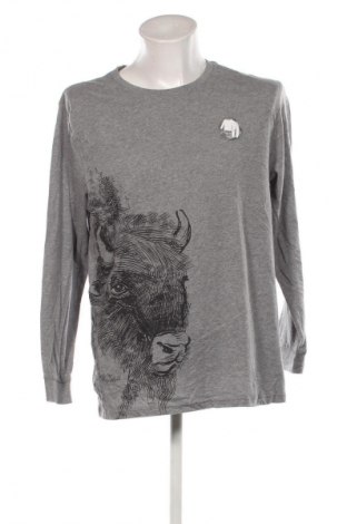 Herren Shirt Anko, Größe L, Farbe Grau, Preis € 5,99