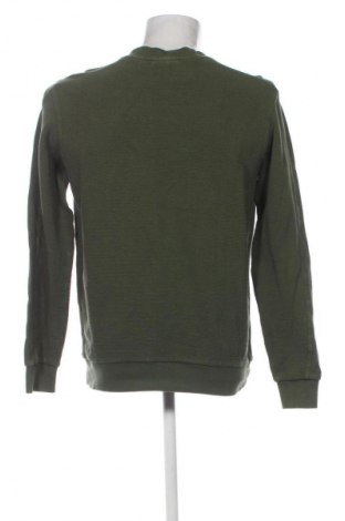 Herren Shirt Lacoste, Größe M, Farbe Grün, Preis € 85,04