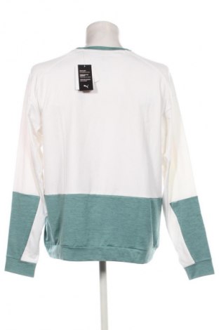 Herren Shirt PUMA, Größe L, Farbe Mehrfarbig, Preis € 62,99