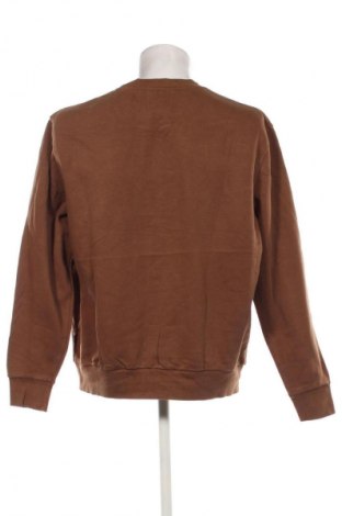 Herren Shirt Springfield, Größe XXL, Farbe Braun, Preis € 7,99