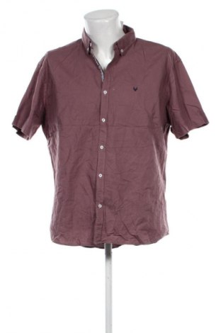 Herrenhemd Connor, Größe XL, Farbe Lila, Preis € 7,99