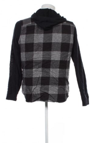 Herrenhemd Hollister, Größe L, Farbe Mehrfarbig, Preis € 9,99