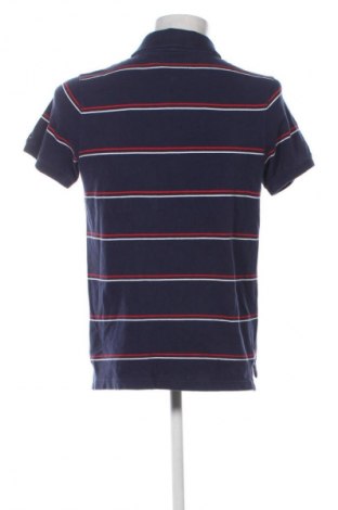 Herren T-Shirt Hilfiger Denim, Größe XL, Farbe Mehrfarbig, Preis € 75,32