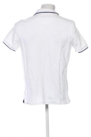 Herren T-Shirt Pierre Cardin, Größe L, Farbe Weiß, Preis € 16,99
