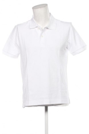Herren T-Shirt Seidensticker, Größe L, Farbe Weiß, Preis 25,99 €