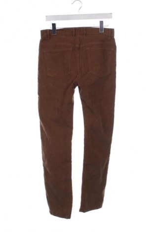 Herren Cordhose Mango, Größe M, Farbe Braun, Preis € 31,99