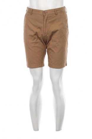 Herren Shorts H&M, Größe M, Farbe Braun, Preis 11,99 €