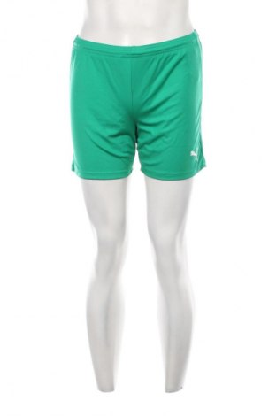Herren Shorts PUMA, Größe S, Farbe Grün, Preis € 11,99