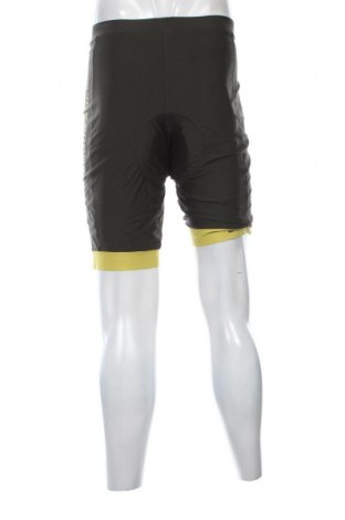 Colanți de bărbați ENDURANCE, Mărime L, Culoare Multicolor, Preț 171,99 Lei