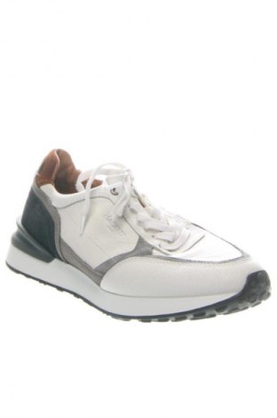 Herrenschuhe Hackett, Größe 40, Farbe Mehrfarbig, Preis 69,94 €