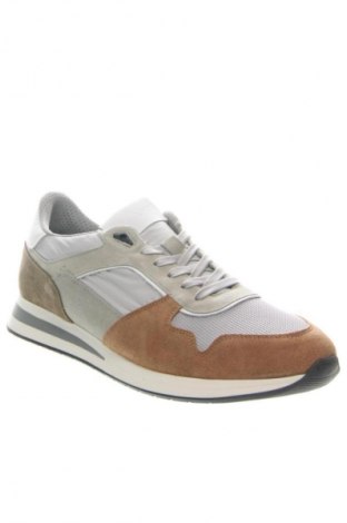 Herrenschuhe NoGRZ, Größe 46, Farbe Mehrfarbig, Preis 117,99 €