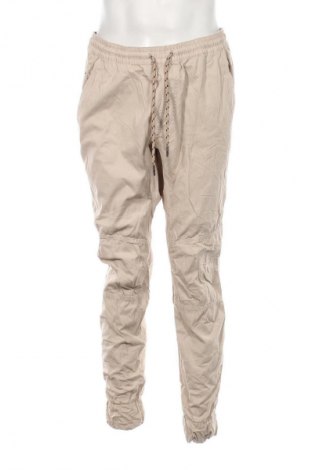 Herrenhose Unbranded, Größe L, Farbe Beige, Preis 26,99 €