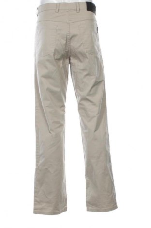 Herrenhose Unbranded, Größe L, Farbe Beige, Preis 19,95 €