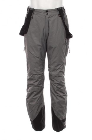 Herrenhose für Wintersport Crane, Größe S, Farbe Grau, Preis 87,99 €