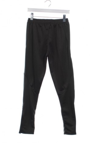 Herren Sporthose Nike, Größe XS, Farbe Grün, Preis € 24,55