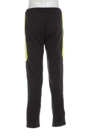 Pantaloni trening de bărbați Project, Mărime S, Culoare Multicolor, Preț 100,99 Lei