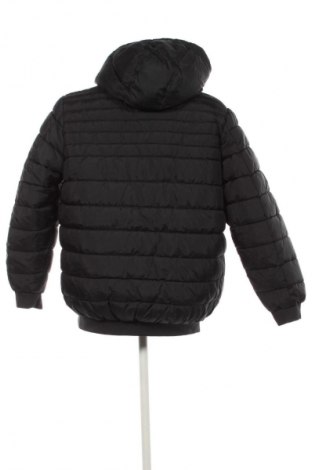 Herrenjacke Pepe Jeans, Größe XL, Farbe Schwarz, Preis € 70,99