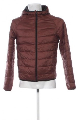 Мъжко яке Primark, Размер S, Цвят Кафяв, Цена 48,99 лв.