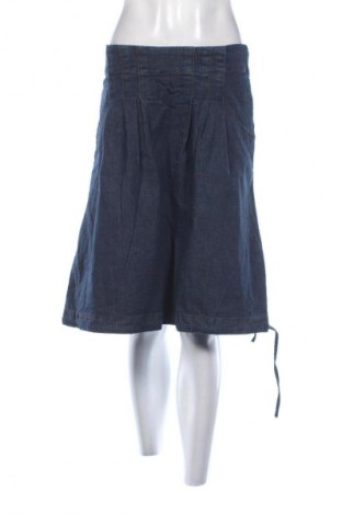 Sukňa Bpc Bonprix Collection, Veľkosť L, Farba Modrá, Cena  9,95 €