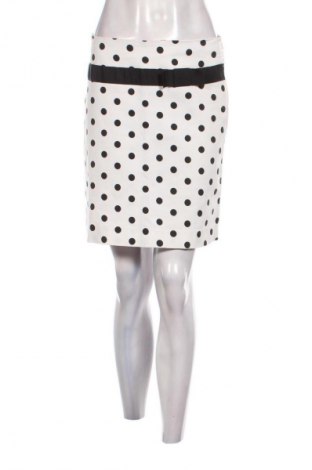 Fustă Zara, Mărime L, Culoare Multicolor, Preț 65,75 Lei