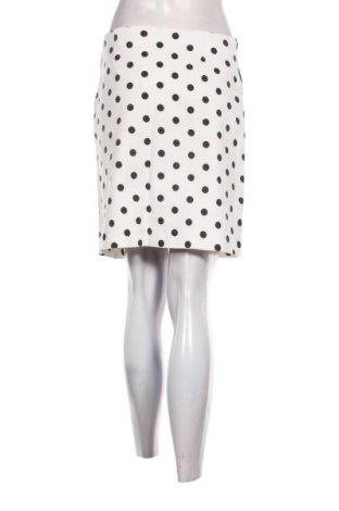 Fustă Zara, Mărime L, Culoare Multicolor, Preț 65,75 Lei
