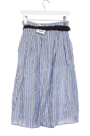 Φούστα Zara, Μέγεθος XXS, Χρώμα Πολύχρωμο, Τιμή 25,43 €