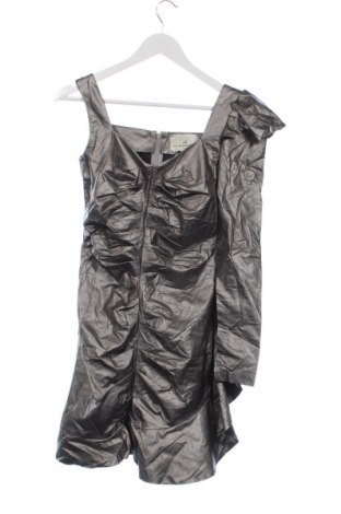 Rochie Arllabel Golden Brand, Mărime XS, Culoare Argintiu, Preț 659,99 Lei