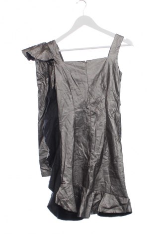 Rochie Arllabel Golden Brand, Mărime XS, Culoare Argintiu, Preț 659,99 Lei