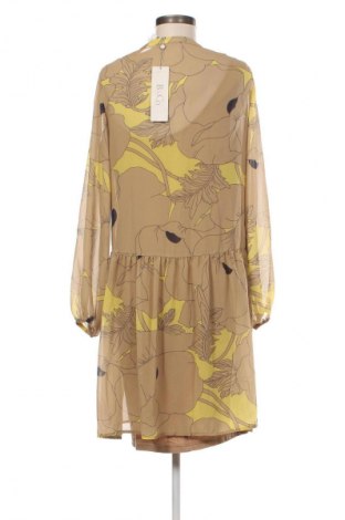 Sukienka Betty & Co, Rozmiar M, Kolor Kolorowy, Cena 492,99 zł
