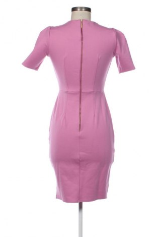 Kleid Closet London, Größe S, Farbe Rosa, Preis 27,99 €