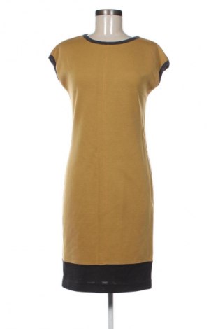 Φόρεμα Daphne, Μέγεθος M, Χρώμα Πολύχρωμο, Τιμή 24,55 €