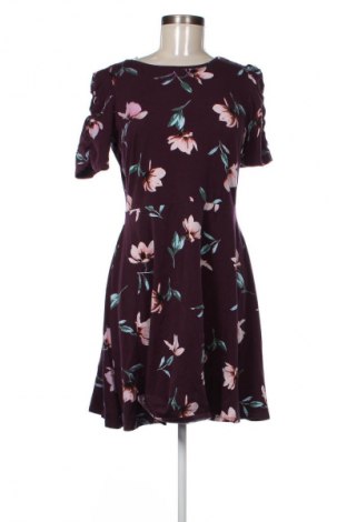 Šaty  Dorothy Perkins, Veľkosť L, Farba Viacfarebná, Cena  15,58 €