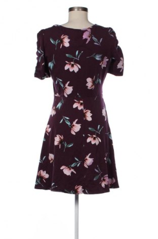 Šaty  Dorothy Perkins, Veľkosť L, Farba Viacfarebná, Cena  15,58 €