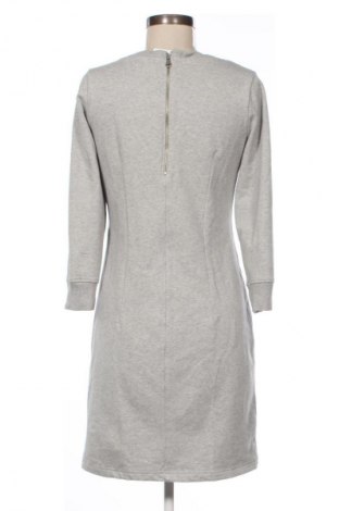 Kleid Gant, Größe S, Farbe Grau, Preis 66,99 €