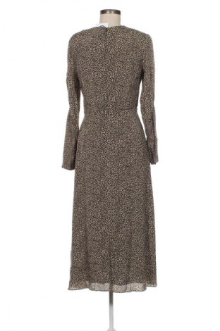 Kleid Massimo Dutti, Größe M, Farbe Mehrfarbig, Preis € 107,99