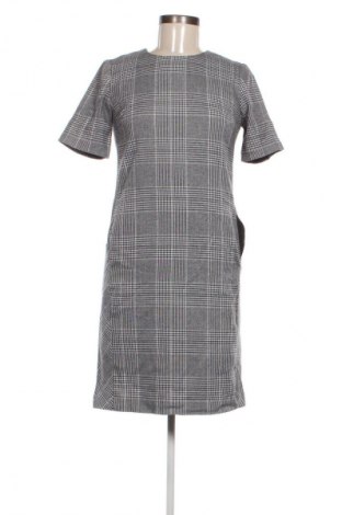Kleid Next Petite, Größe M, Farbe Mehrfarbig, Preis 28,99 €