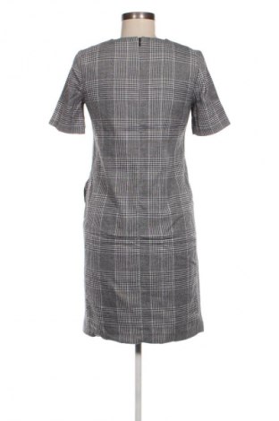 Kleid Next Petite, Größe M, Farbe Mehrfarbig, Preis 28,99 €