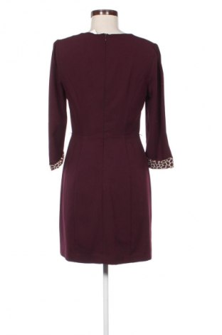 Kleid Oasis, Größe M, Farbe Rot, Preis € 18,99