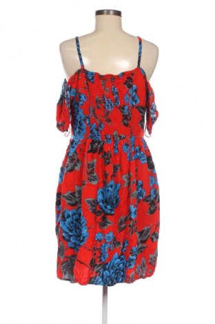 Kleid Papaya, Größe XL, Farbe Mehrfarbig, Preis € 11,99