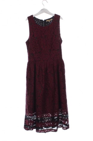 Φόρεμα Sweet Miss, Μέγεθος M, Χρώμα Πολύχρωμο, Τιμή 9,99 €