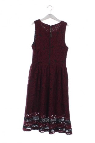Φόρεμα Sweet Miss, Μέγεθος M, Χρώμα Πολύχρωμο, Τιμή 9,99 €