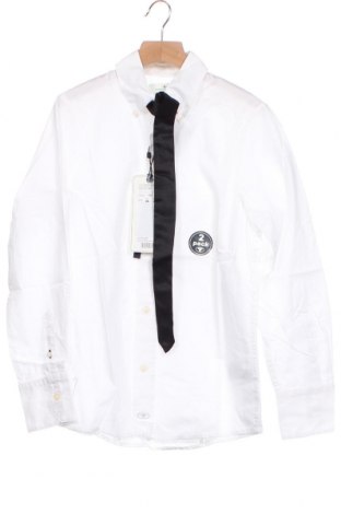 Παιδικό πουκάμισο Tom Tailor, Μέγεθος 11-12y/ 152-158 εκ., Χρώμα Λευκό, 100% βαμβάκι, Τιμή 28,45 €