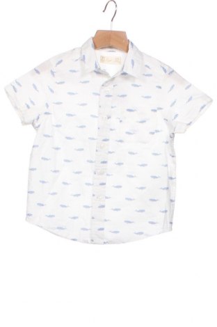 Παιδικό πουκάμισο Zara, Μέγεθος 3-4y/ 104-110 εκ., Χρώμα Λευκό, Βαμβάκι, Τιμή 13,61 €