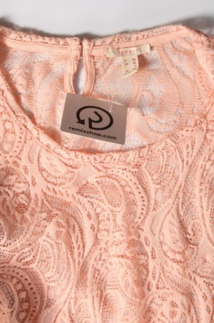 Damen Shirt Esprit, Größe XS, Farbe Beige, Preis 12,28 €