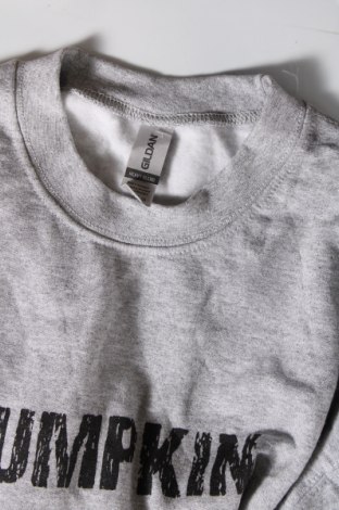 Γυναικεία μπλούζα Gildan, Μέγεθος S, Χρώμα Γκρί, Τιμή 2,00 €