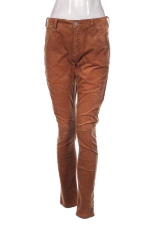 Дамски панталон Nile, Размер M, Цвят Кафяв, Цена 7,48 лв.