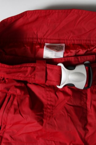Дамски панталон за зимни спортове Rodeo, Размер L, Цвят Червен, Цена 75,00 лв.