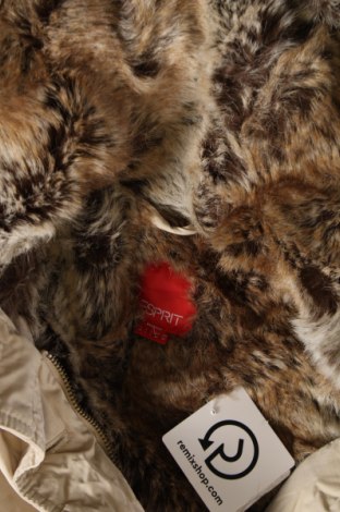 Дамско палто Esprit, Размер M, Цвят Бежов, Цена 16,20 лв.